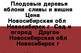 Плодовые деревья яблони, сливы и вишня. › Цена ­ 300 - Новосибирская обл., Новосибирск г. Сад и огород » Другое   . Новосибирская обл.,Новосибирск г.